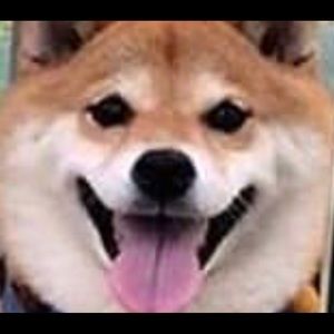 Meet your Posher, Aylin